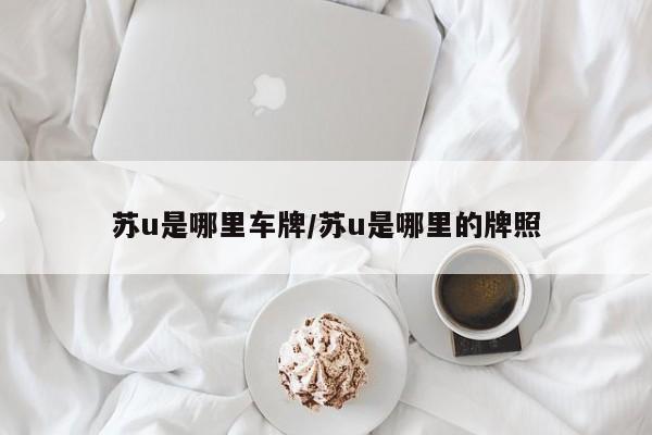 苏u是哪里车牌/苏u是哪里的牌照